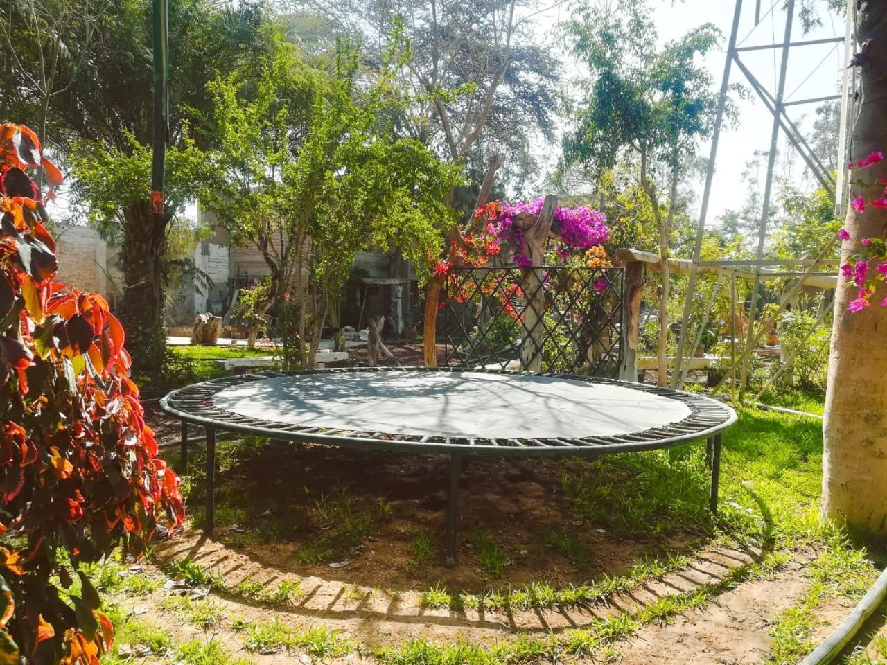 Hotel & Hacienda El Carmelo Ica Extérieur photo